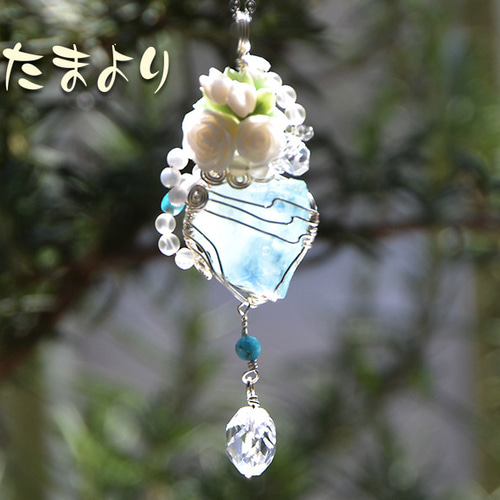 はくとん( 'ω')ŧ‹