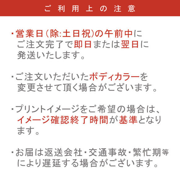 【お急ぎの方用】にこにこ特急便チケット300円　即日・翌営業日（土日祝除）発送 2枚目の画像