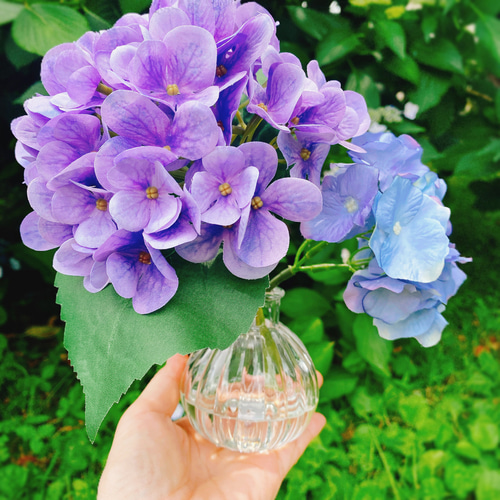 枯れない花】本物みたいな紫陽花 マジカルウォーター インテリア