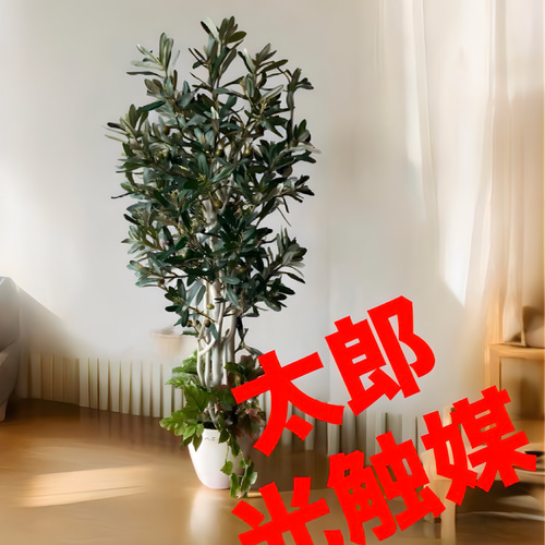光触媒 人工観葉植物 ウォールグリーン フェイクグリーン オリーブ 