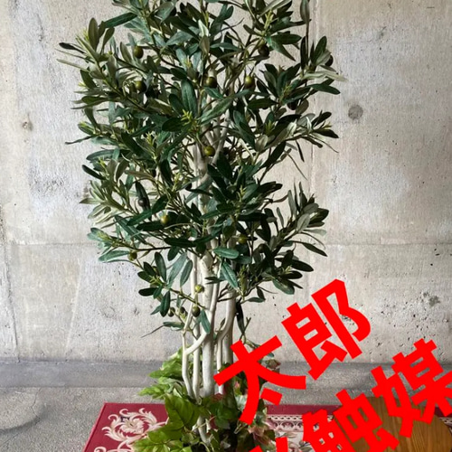 光触媒 人工観葉植物 ウォールグリーン フェイクグリーン オリーブ 