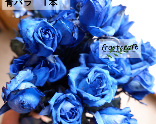 19b66900072cffd16b8dd906951d1b