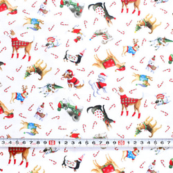 カットクロス Robert Kaufman Fabrics Christmas Jamboree Dogs Snow 3枚目の画像