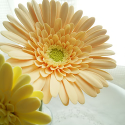 【庫存有限】❁檸檬黃和淺粘土花非洲菊2件套，室內花，韓國室內❁ 第4張的照片
