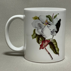ボタニカルアート　植物画　マグノリア　マグカップ 3枚目の画像