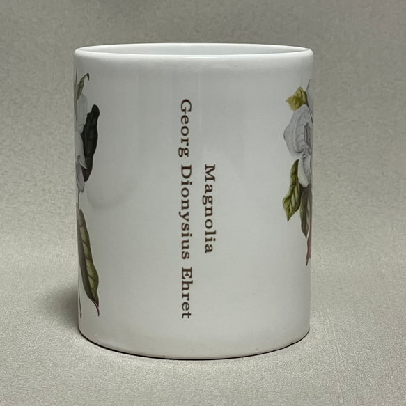 ボタニカルアート　植物画　マグノリア　マグカップ 2枚目の画像