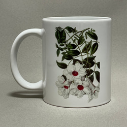 ボタニカルアート　植物画　ジャスミン　マグカップ 3枚目の画像