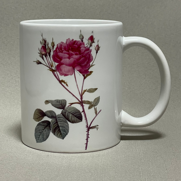ルドゥーテ　バラ　マグカップ　植物画　ボタニカルアート 1枚目の画像