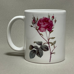 ルドゥーテ　バラ　マグカップ　植物画　ボタニカルアート 3枚目の画像
