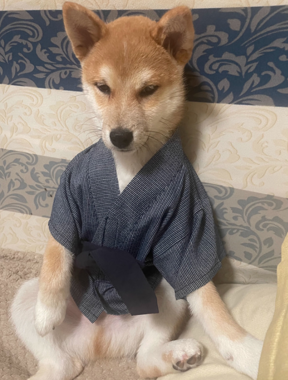 犬服 犬浴衣 祭り雰囲気満々 和服 ペット浴衣 超ゆったり 5種類 かわいい 格好いい 夏祭り 5枚目の画像