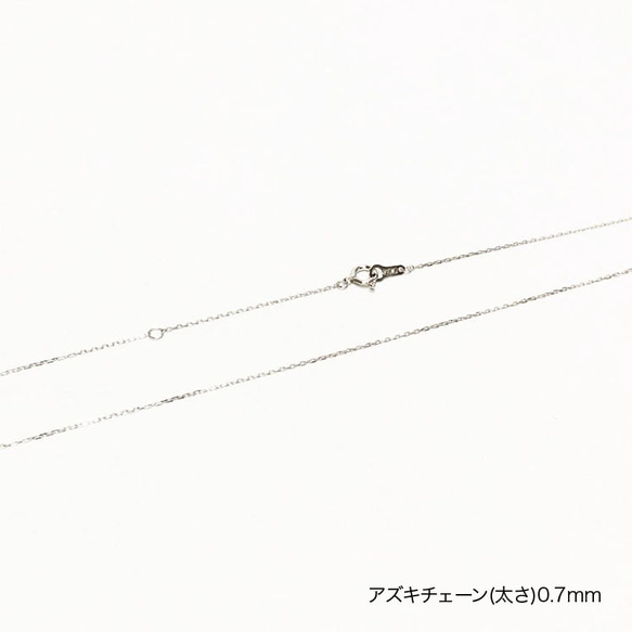 [白金PT850]日本製長鏈項鍊 第4張的照片
