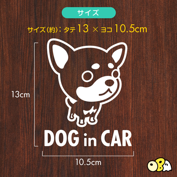 DOG IN CAR/チワワ・スムースB カッテイングステッカー KIDS・BABY・CAMP 3枚目の画像