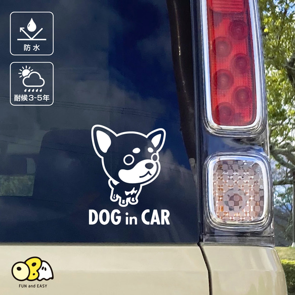 DOG IN CAR/チワワ・スムースB カッテイングステッカー KIDS・BABY・CAMP 2枚目の画像