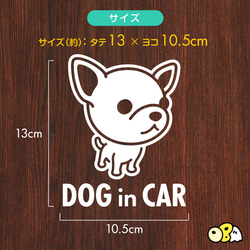 DOG IN CAR/チワワ・スムースA カッテイングステッカー KIDS・BABY・SAFETY 3枚目の画像