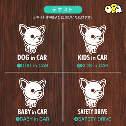 DOG IN CAR/チワワ・スムースA カッテイングステッカー KIDS・BABY・SAFETY 4枚目の画像