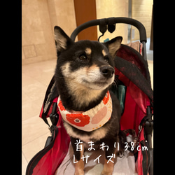 【フラワー柄】犬用　クールネック　クールスヌード　ネッククーラー 7枚目の画像