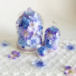 紫陽花のガラスドーム親子 13枚目の画像