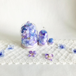 紫陽花のガラスドーム親子 14枚目の画像