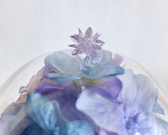 紫陽花のガラスドーム親子 9枚目の画像