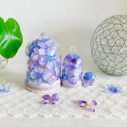 紫陽花のガラスドーム親子 5枚目の画像