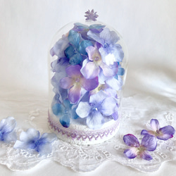 紫陽花のガラスドーム親子 7枚目の画像
