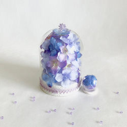 紫陽花のガラスドーム親子 11枚目の画像