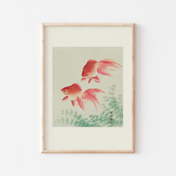 ボタニカルアート リンコソフロカトレア 植物画 絵画 Zinnia 通販