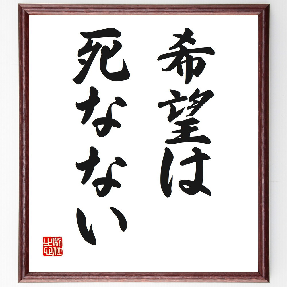 名言「希望は死なない」手書き書道色紙額／受注後の毛筆直筆（V2557）