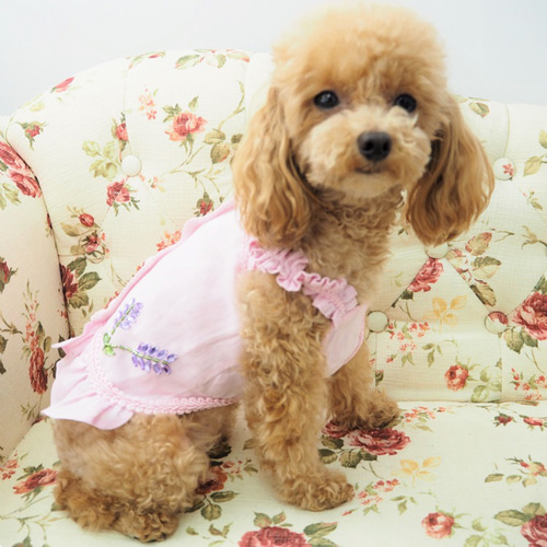 pinkdog様 pinkdog様 【公式通販】