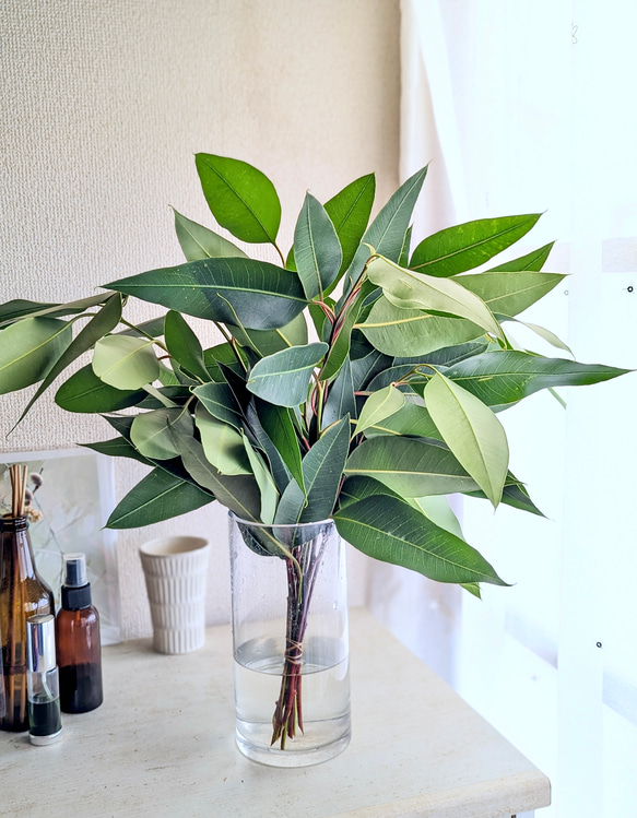 花瓶に挿してもドライフラワーにしてもOK！フレッシュなレモン