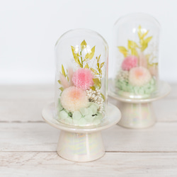 パステルカラーのかわいいガラスドームの仏花（ピンクのマム）／プリザーブドフラワーアレンジ 2枚目の画像