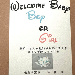 ☆baby☆ジェンダーリピールカード 3枚目の画像