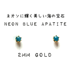 【極小2mmゴールド】ネオンブルーアパタイトの1粒ピアス 1枚目の画像