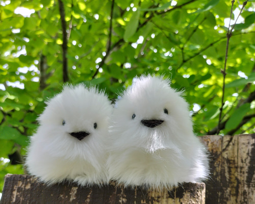 ae414fdaaa5eeaef6a3a8d41740d96