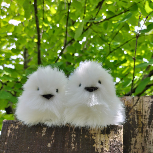 新感触！手のひらに、生きてるみたいな命の重み・重さ約70グラム