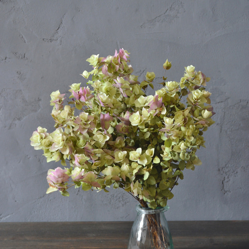 現物販売/ドライフラワー/オレガノ/ケントビューティ/ハンドメイド/花