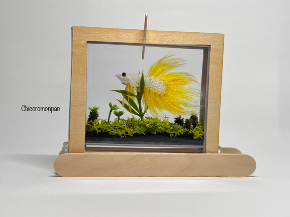 あみぐるみベタ リーフ付き水槽 あみぐるみ Chicoromonpan shop 通販