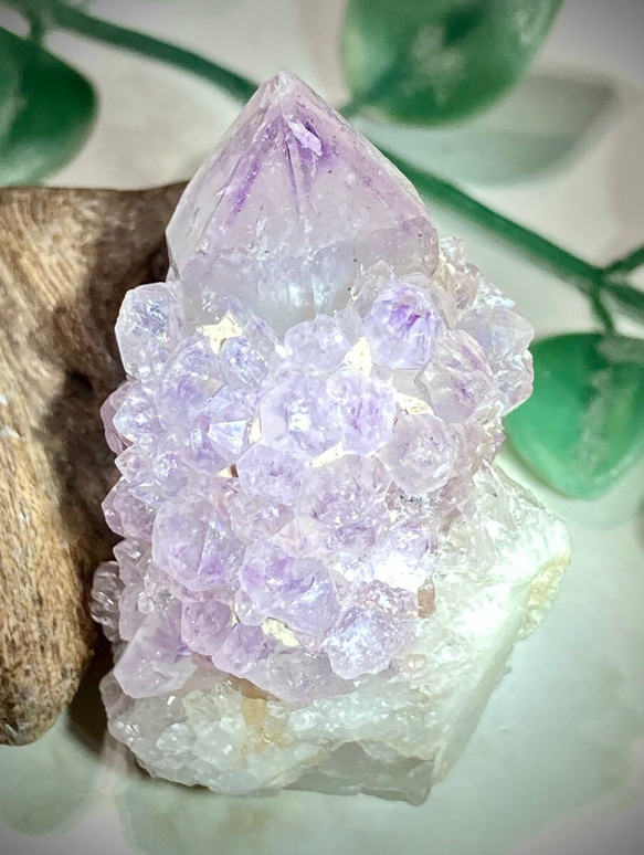 虹入り✨ ファントム カクタスアメジスト サボテン水晶 ラフ