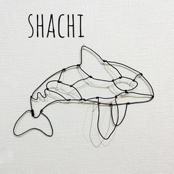 ワイヤーアート　シーラカンス シーラカンス（立体ワイヤークラフト） - YouTube