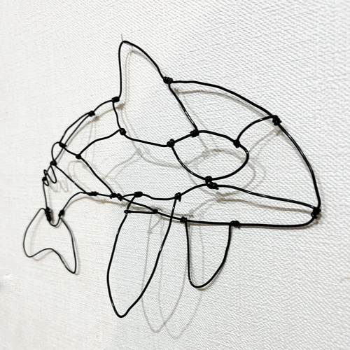 ワイヤーアート　シーラカンス シーラカンス（立体ワイヤークラフト） - YouTube