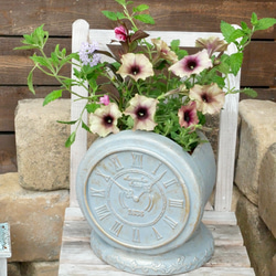 心に寄り添う 寄せ植え 存在感たっぷり 希少なシクラメンジックス