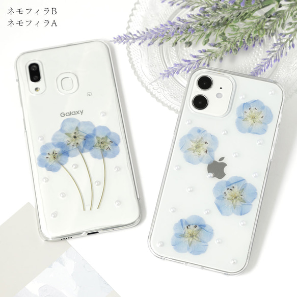 ネモフィラ 押し花 全機種対応 マーガレット 花 クリアケース ネモフィラ 押し花 全機種対応 マーガレット 花 クリアケース