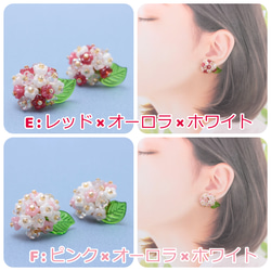 あじさい 紫陽花~color mix 2~(1122) ピアス/ノンホールピアス/樹脂ピアス 5枚目の画像