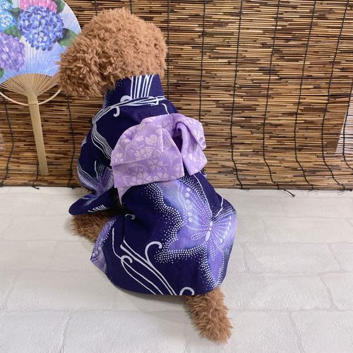 犬の浴衣✨犬用本格本染浴衣 紺×藤色 蝶柄 わんこ浴衣 犬服