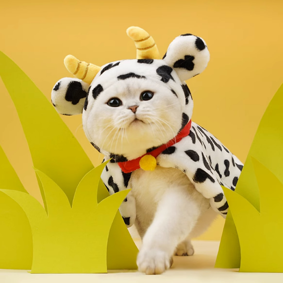猫服 ペットウェア かわいい 乳牛装 猫変装 仮装 角付き マント 牛 1枚目の画像