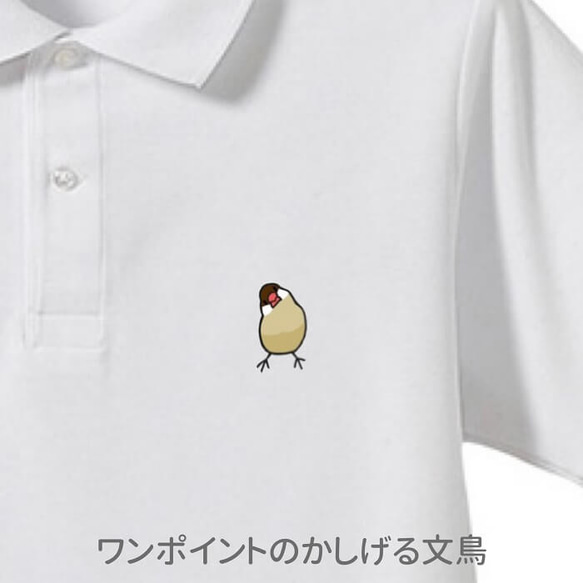 爪哇麻雀 Polo 衫“Kashigeru 爪哇麻雀”[定制] 第5張的照片