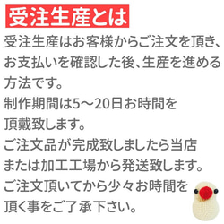 爪哇麻雀 Polo 衫“Kashigeru 爪哇麻雀”[定制] 第11張的照片