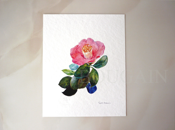 ツバキ 】 ORIGINAL GICLEE 水彩画を高級紙に印刷した鑑賞用絵画シート