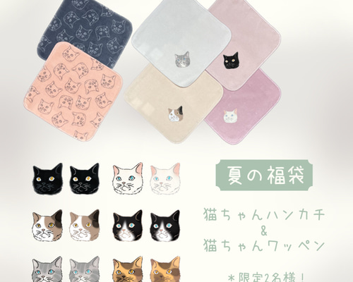 874e988a2433bb8b1d2196ddbaf7a3