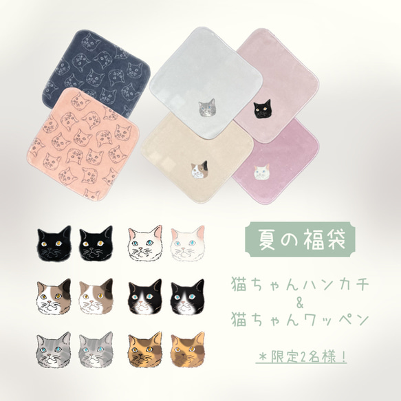 1000円OFF/限定3名様】猫ちゃんのワンポイントワッペン2枚・ハンカチ2